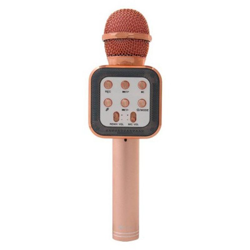 میکروفون و اسپیکر ProOne PBM02 Series PMB66