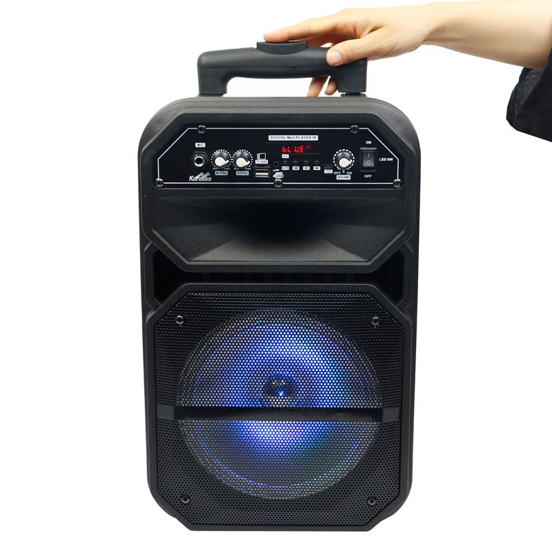اسپیکر چمدانی بلوتوثی رم و فلش خور W-6009 + میکروفون و ریموت کنترل