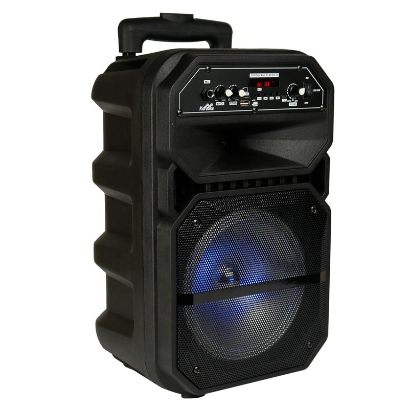اسپیکر چمدانی بلوتوثی رم و فلش خور W-6009 + میکروفون و ریموت کنترل