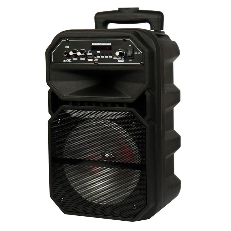 اسپیکر چمدانی بلوتوثی رم و فلش خور W-6009 + میکروفون و ریموت کنترل