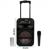 اسپیکر چمدانی بلوتوثی رم و فلش خور W-6009 + میکروفون و ریموت کنترل