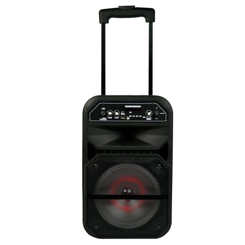 اسپیکر چمدانی بلوتوثی رم و فلش خور W-6009 + میکروفون و ریموت کنترل