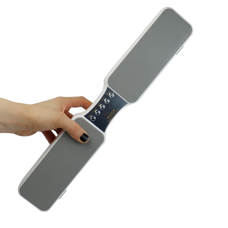 اسپیکر بلوتوثی رم و فلش خور Wster WS-1039