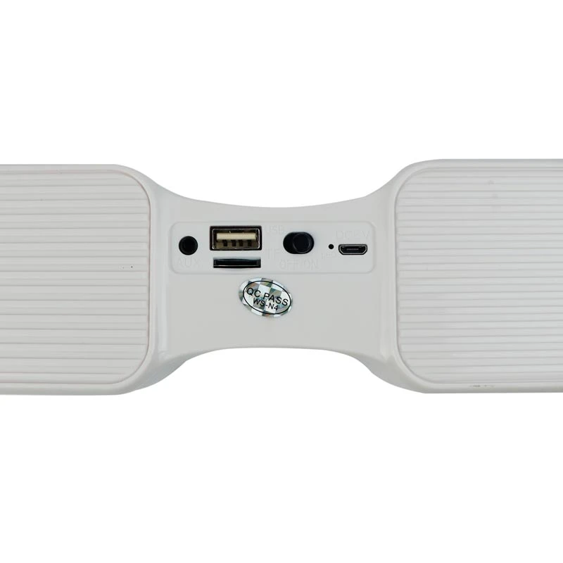 اسپیکر بلوتوثی رم و فلش خور Wster WS-1039