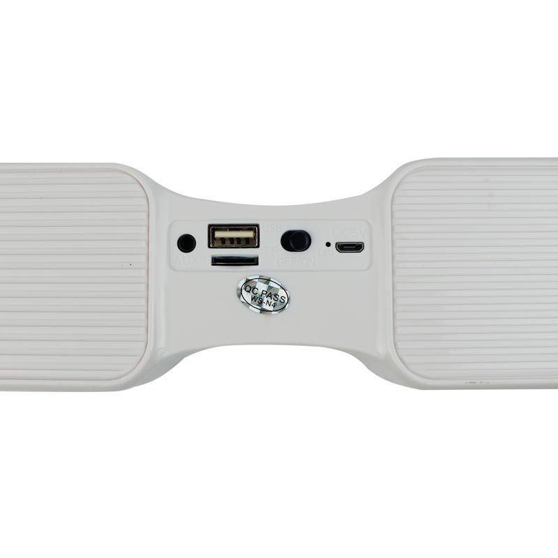 اسپیکر بلوتوثی رم و فلش خور Wster WS-1039