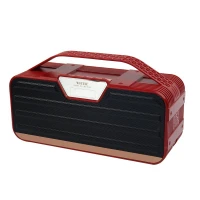 اسپیکر بلوتوثی رم و فلش خور Wster WS-5361