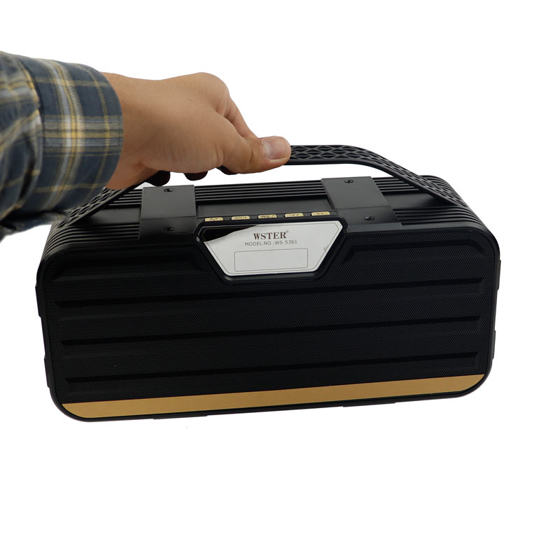 اسپیکر بلوتوثی رم و فلش خور Wster WS-5361