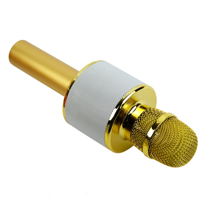 میکروفون اسپیکر D168