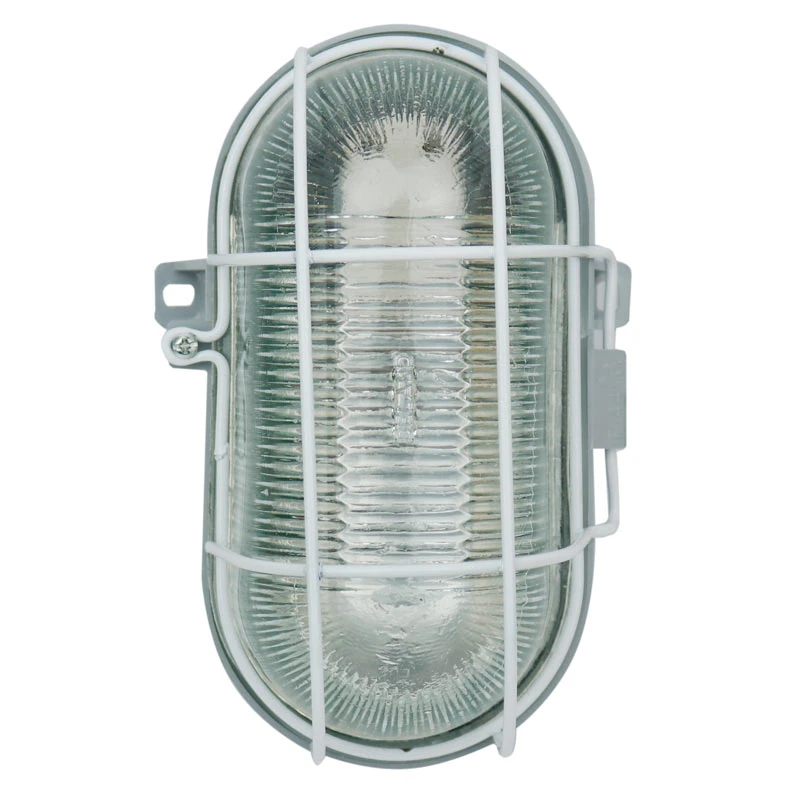 چراغ دیواری تونلی دلند الکتریک 100W IP44