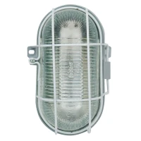 چراغ دیواری تونلی دلند الکتریک 100W IP44