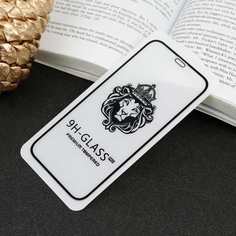 گلس LIONSERIES بدون پک آیفون iPhone 12 Mini