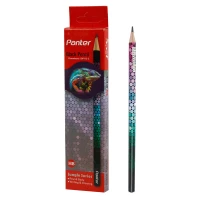مداد مشکی پنتر Panter Chameleons/BP113-3 بسته 12 عددی
