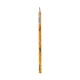 مداد مشکی پنتر Panter Honey Bee/BP113-4 بسته 12 عددی