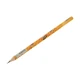 مداد مشکی پنتر Panter Honey Bee/BP113-4 بسته 12 عددی