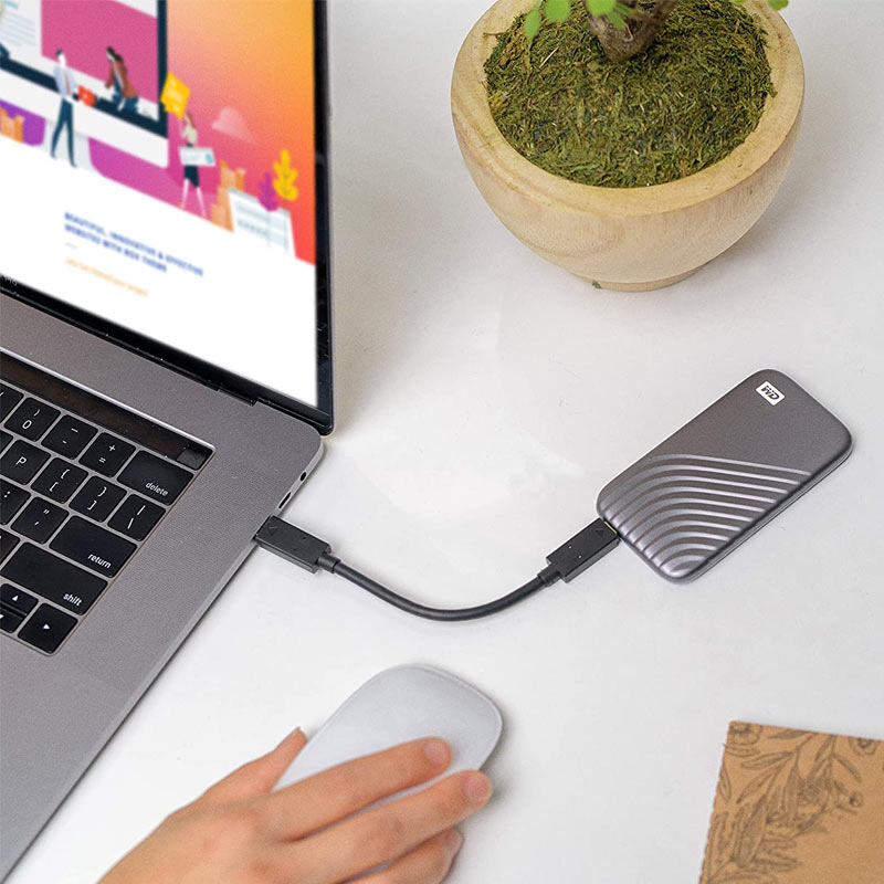 حافظه اکسترنال SSD وسترن دیجیتال Western Digital My Passport 500GB