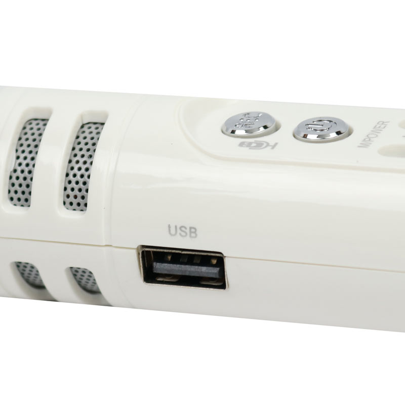 میکروفون و اسپیکر Wster WS-1698