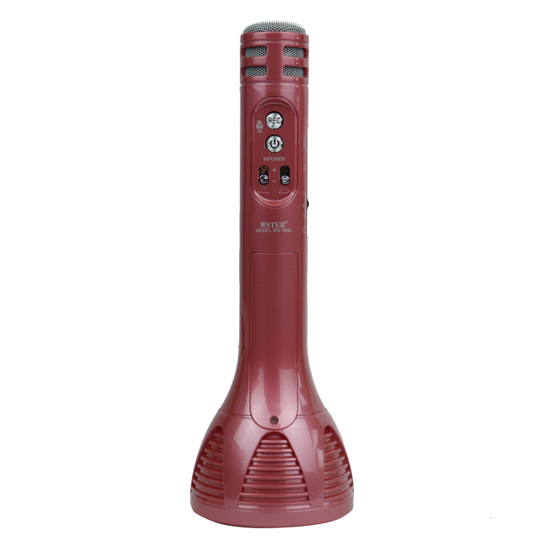 میکروفون و اسپیکر Wster WS-1698