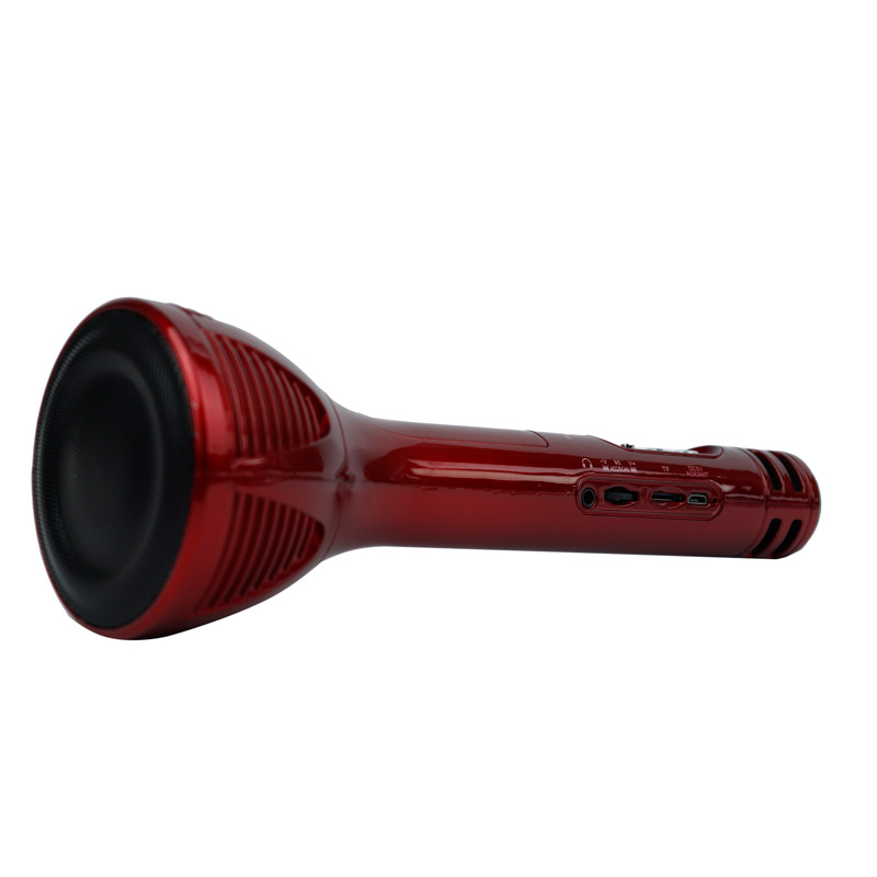میکروفون و اسپیکر Wster WS-1698