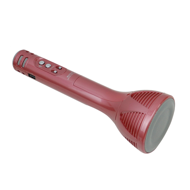 میکروفون و اسپیکر Wster WS-1698