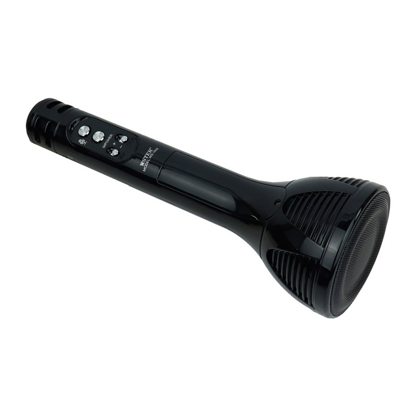 میکروفون و اسپیکر Wster WS-1698