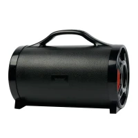 اسپیکر بلوتوثی رم و فلش خور Wster WS-1901