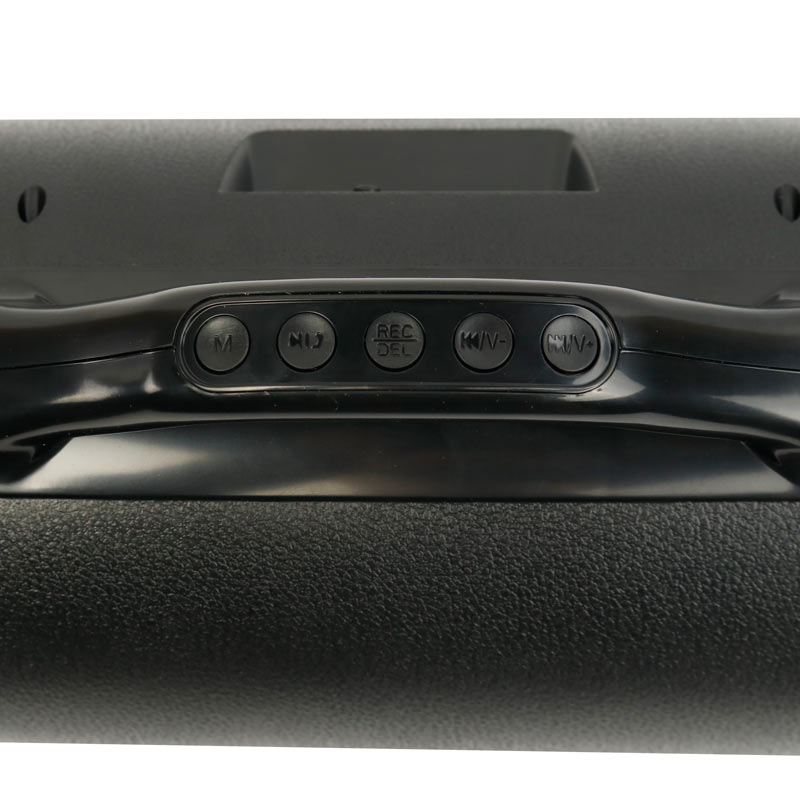 اسپیکر بلوتوثی رم و فلش خور Wster WS-1901