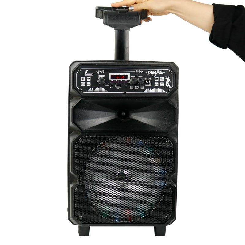 اسپیکر چمدانی بلوتوثی رم و فلش خور DS-1814 Plus + میکروفون و ریموت کنترل