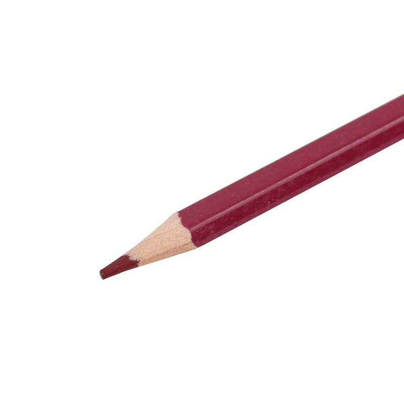 مداد رنگی 36 رنگ پنتر Panter PCP 103-36
