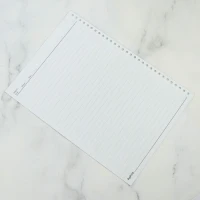 کاغذ کلاسوری 30 حلقه 120 برگ پاپکو NB-624-SH