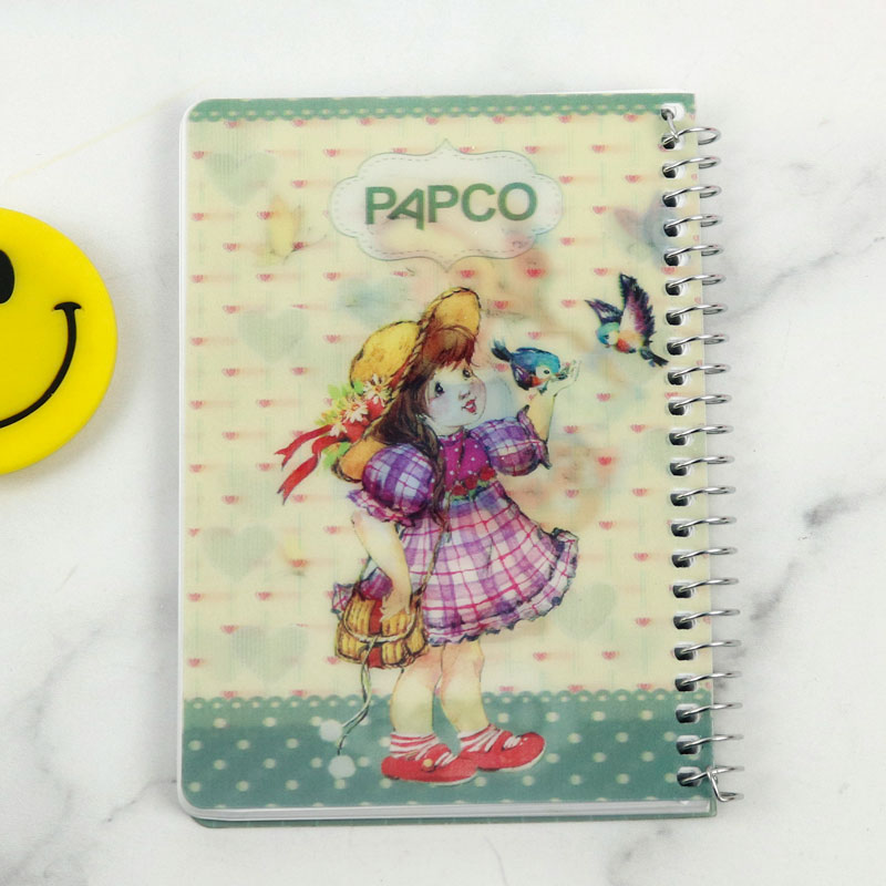 دفترچه یادداشت 100 برگ 3 بعدی پاپکو Papco NB-6703D-2D بغل بازشو