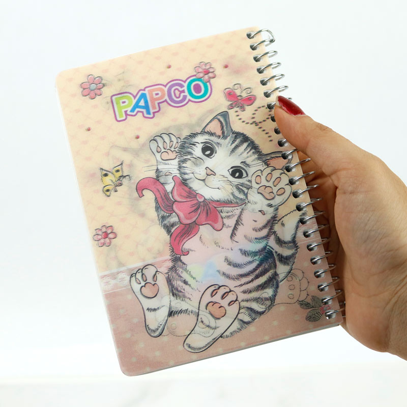 دفترچه یادداشت 100 برگ 3 بعدی پاپکو Papco NB-6703D-2D بغل بازشو