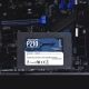 حافظه SSD پاتریوت Patriot P210 1TB