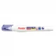 غلط گیر قلمی 12 میلی لیتری پنتر CP 102-12