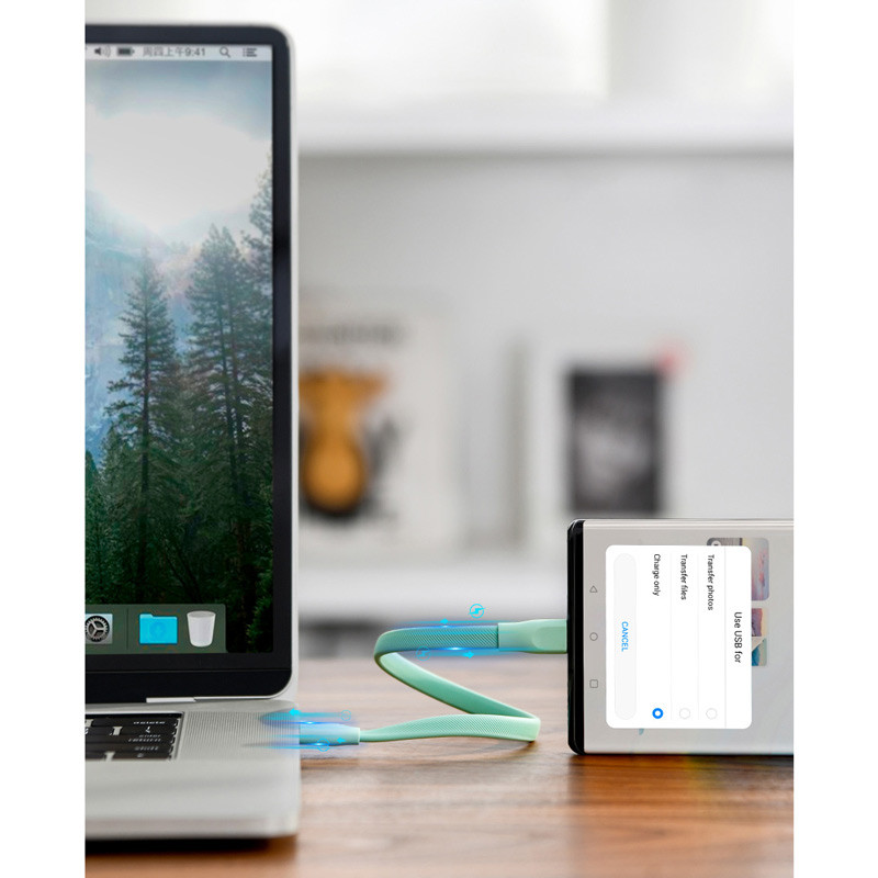 کابل کوتاه فست شارژ Baseus CATFH Type-C 5A 22cm