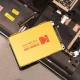 حافظه SSD کداک Kodak X100 960GB