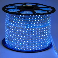 ریسه شلنگی ESA RGB متری