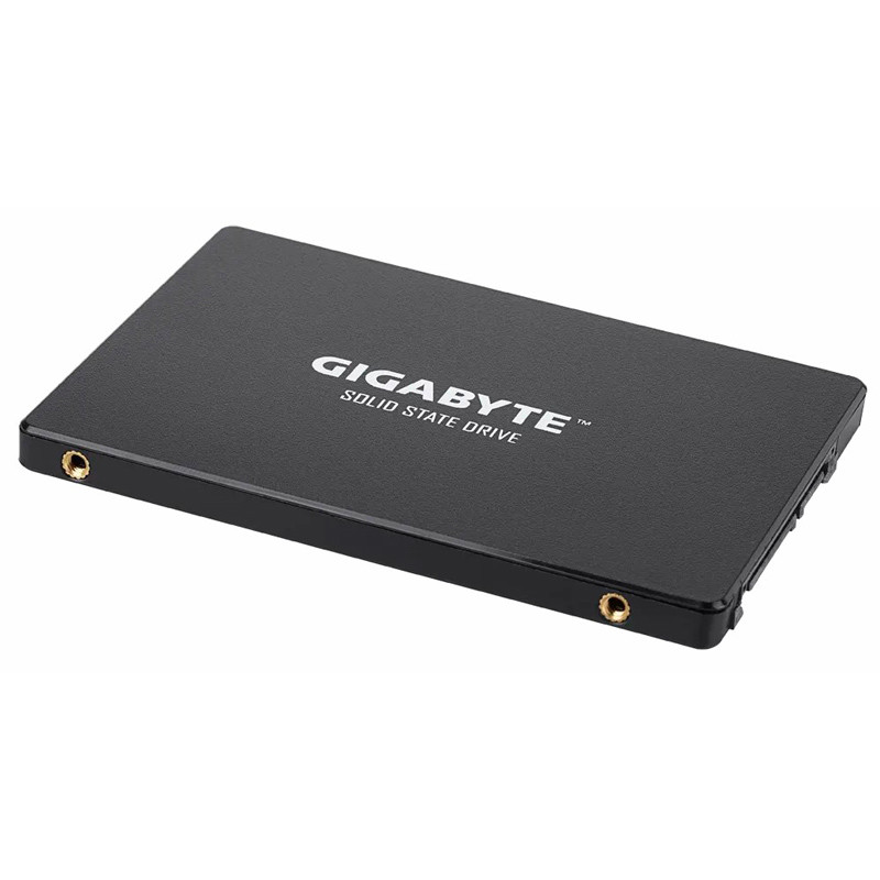 حافظه SSD گیگابایت GIGABYTE GP-GSTFS31256GTND 256GB