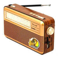 رادیو اسپیکر بلوتوثی رم و فلش خور خورشیدی Golon RX-BT169S