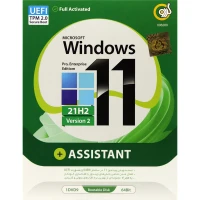 Windows 11 UEFI Pro/Enterprise 21H2 V2 + Assistant 1DVD9 گردو