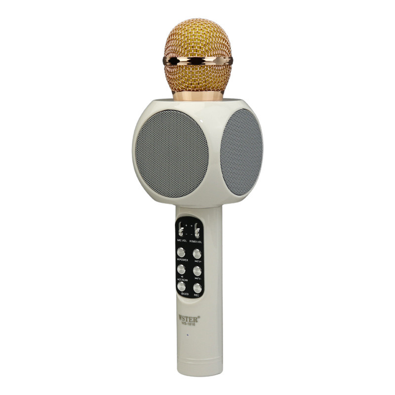 میکروفون و اسپیکر اورجینال WSTER WS-1816