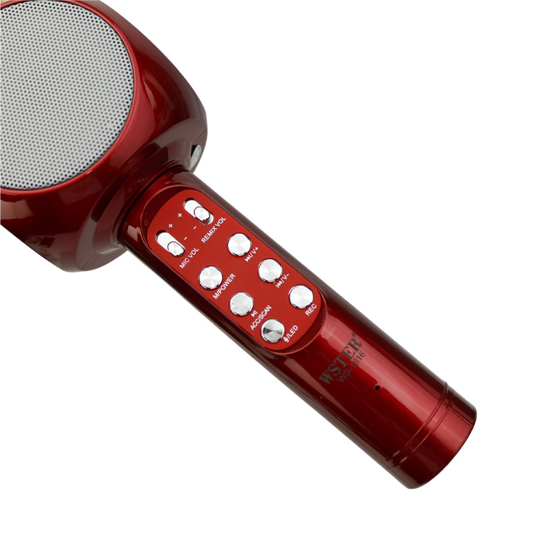 میکروفون و اسپیکر اورجینال WSTER WS-1816