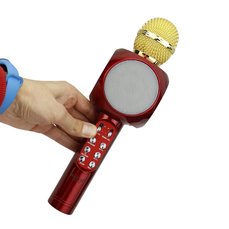 میکروفون و اسپیکر اورجینال WSTER WS-1816