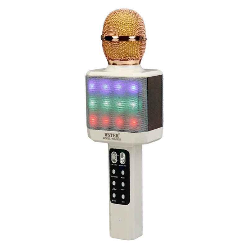 میکروفون و اسپیکر اورجینال WSTER WS-1828