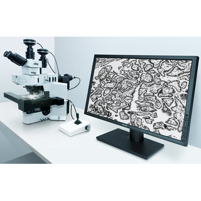 مانیتور ایسوس HA2402 سایز 24 اینچ