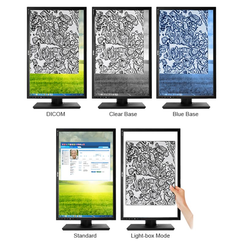 مانیتور ایسوس HA2402 سایز 24 اینچ