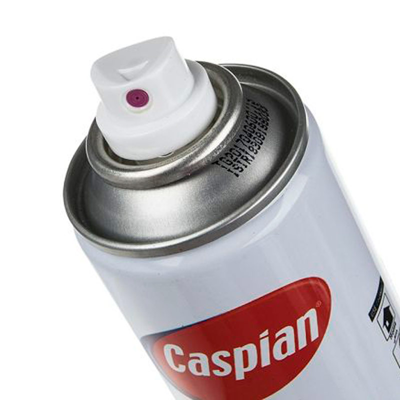 اسپری شیشه مات کن Caspian 300ml