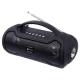 اسپیکر بلوتوثی رم و فلش خور ProOne PSB4105