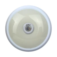چراغ سقفی سنسوردار شیله SC 976