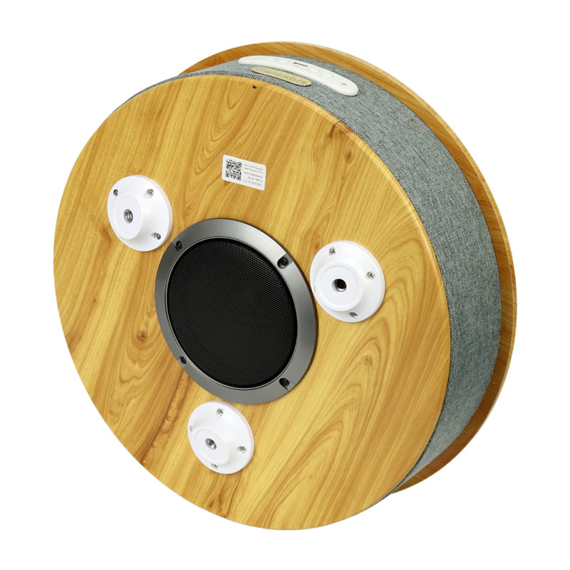 اسپیکر بلوتوثی فلش خور Galexbit GS-10
