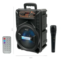 اسپیکر چمدانی بلوتوثی گلکس بیت GS-14 + میکروفون و ریموت کنترل